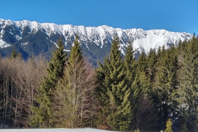 Rambling in Transylvania - Visit to Historic Sirnea and Ciocanu