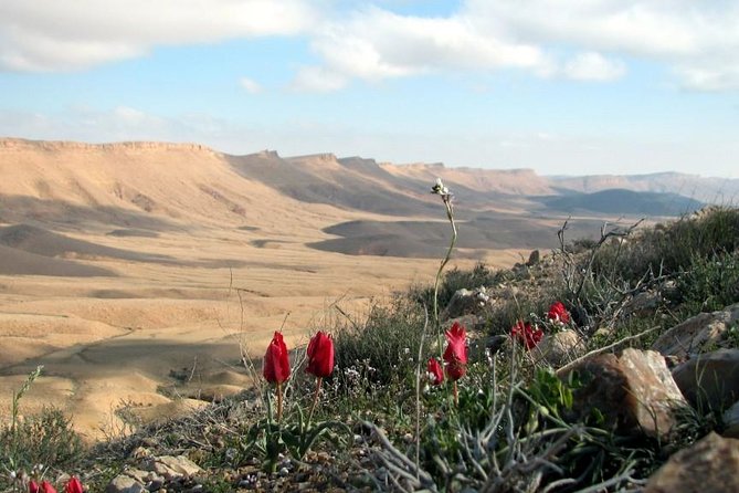 Ramon Crater Jeep Tour From Mitzpe Ramon - What to Bring