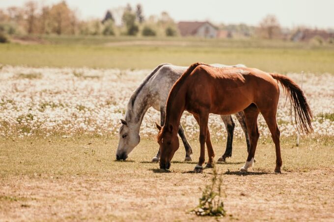 Ranc Ramarin Cycling Tour Around Slavonski Brod - Frequently Asked Questions