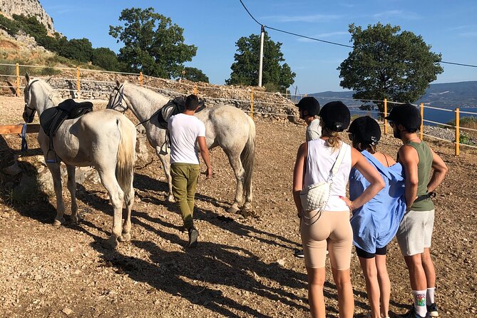 Ranch 22 Podstrana, Horse Riding 12 Km From SPLIT - Tour Description