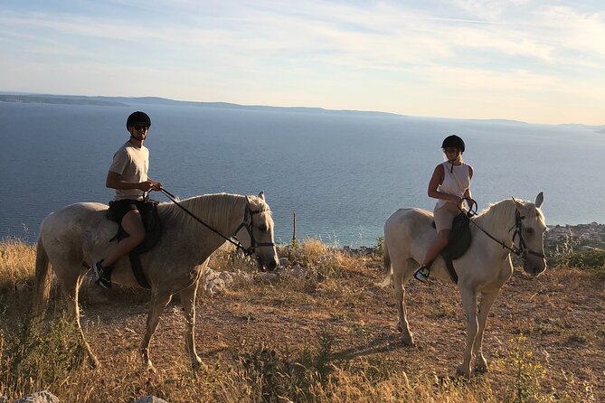 Ranch 22 Podstrana, Horse Riding 12 Km From SPLIT - Private Tour Details