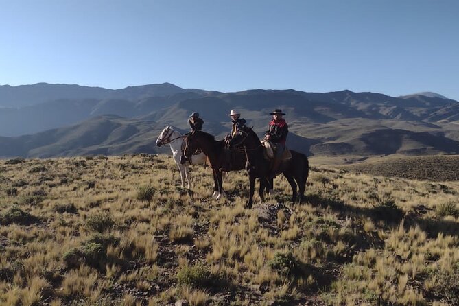 Rancho Gaucho Estate Expeditions 3 Days - Transportation and Logistics