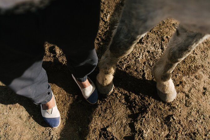 Rancho Gaucho Estate Expeditions 3 Days - Positive Guest Reviews