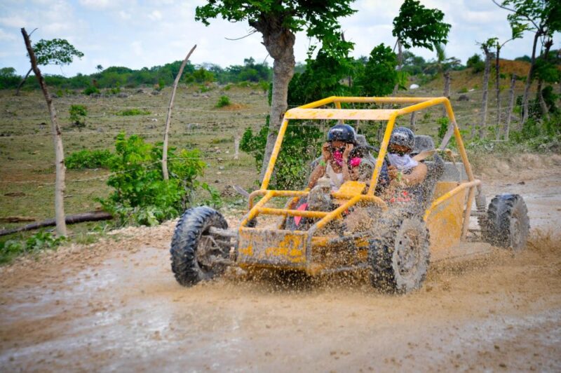 Rancho Macao Buggy Adventure - Experience Highlights