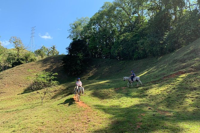 Rancho Típico Don Juan, Horseback Riding Tour - Discovering Local Flora and Fauna