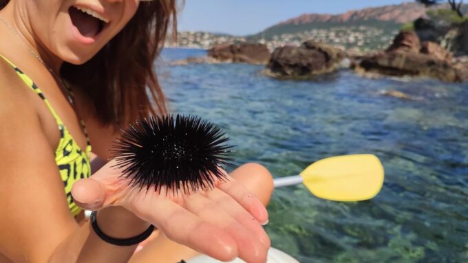 Rando Kayak Agay Guided Visit - Qualified and Attentive Instructors