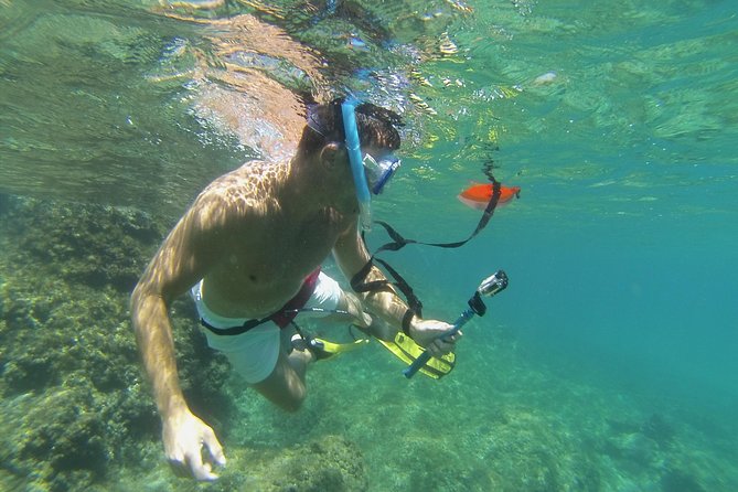 Random Getaway Around an Island - Discovering the Marine Ecosystem