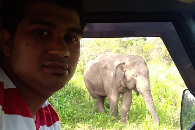 Rangiri Jeep Safari Sigiriya Lion Rock & Evening Jeep Safari - Jeep and Group Capacity Details