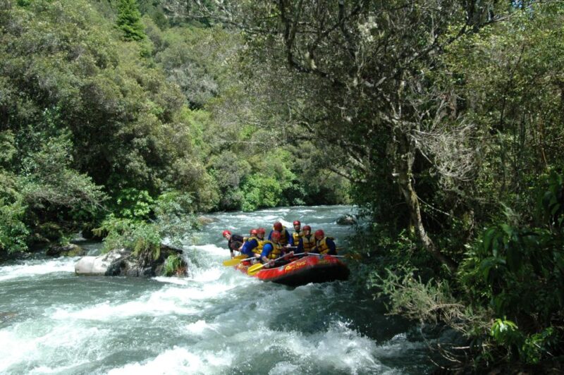 Rangitaiki Rafting Grade 3-4 - Pricing and Reservation