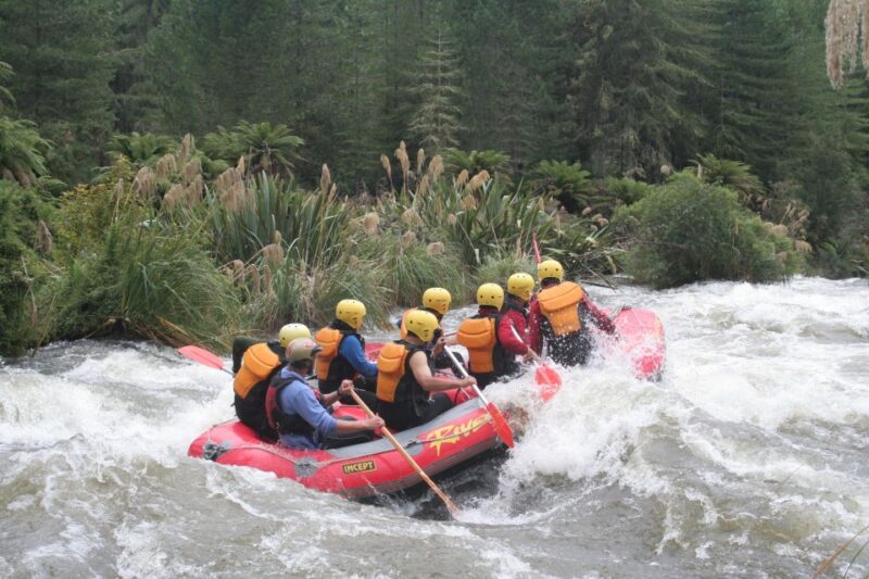 Rangitaiki Rafting Grade 3-4 - Relaxation Halfway