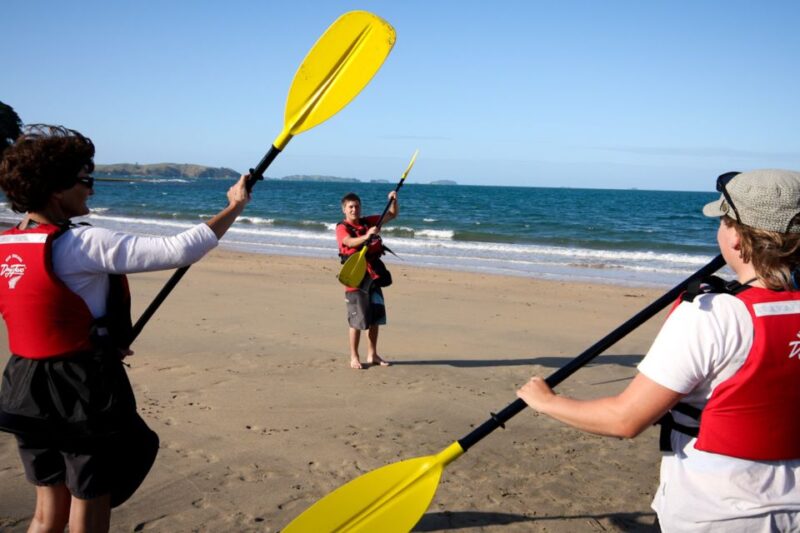 Rangitoto Island: Sea Kayak & Summit Hike Day Trip - Key Points