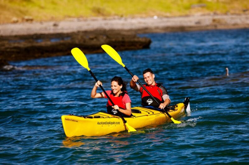 Rangitoto Island: Sea Kayak & Summit Hike Day Trip - Itinerary Highlights