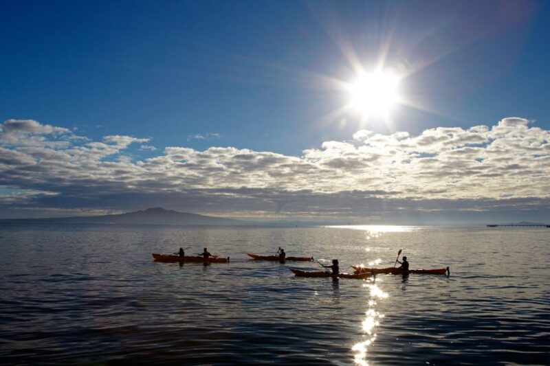 Rangitoto Island: Sea Kayak & Summit Hike Day Trip - Included Features