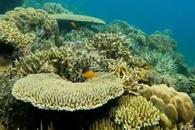 Rangko Cave & Beach Snorkeling Half Day Sharing Trip Labuan Bajo - Scenic Views