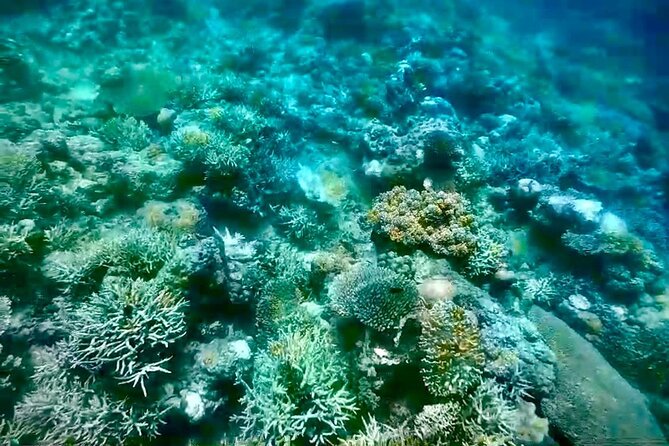 Rangko Cave & Beach Snorkeling Half Day Sharing Trip Labuan Bajo - Transport and Convenience