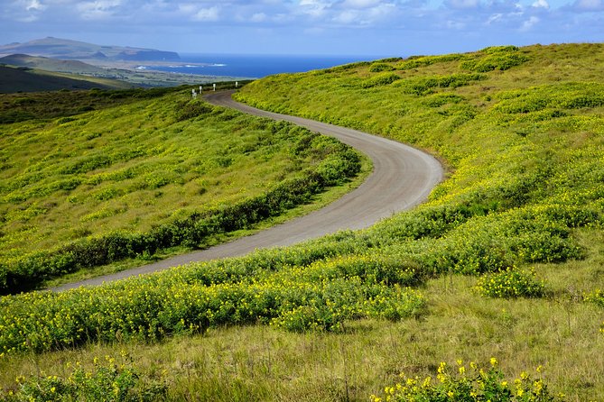 Rano Kau and Orongo: Half Day Private Tour - Booking and Confirmation Information