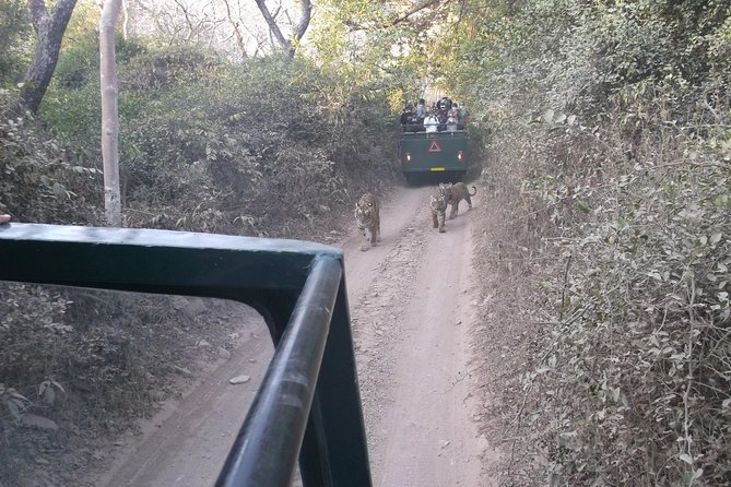 Ranthambhore National Park - Booking Requirements