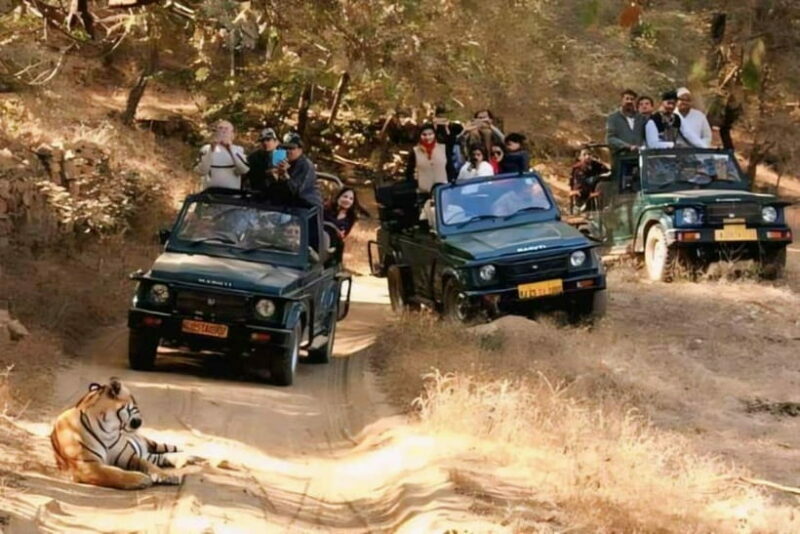 Ranthambhore: Ranthambhore Tiger Reserve Booking - FAQ