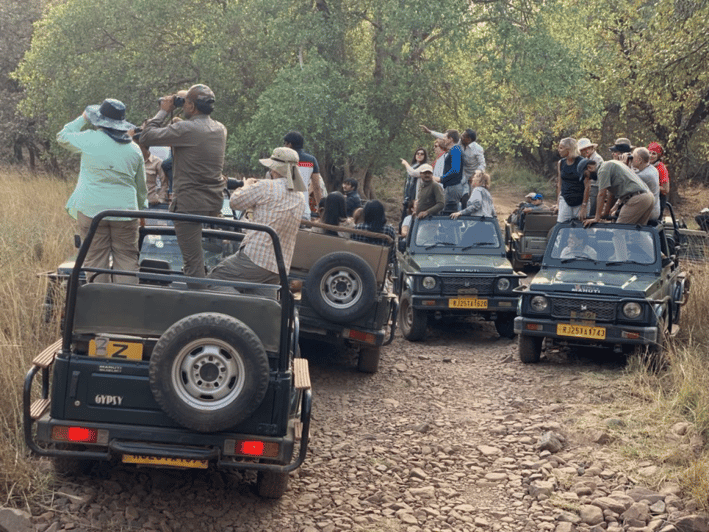 Ranthambore: National Park Safari (Bengal Tiger) Spotting - Key Points