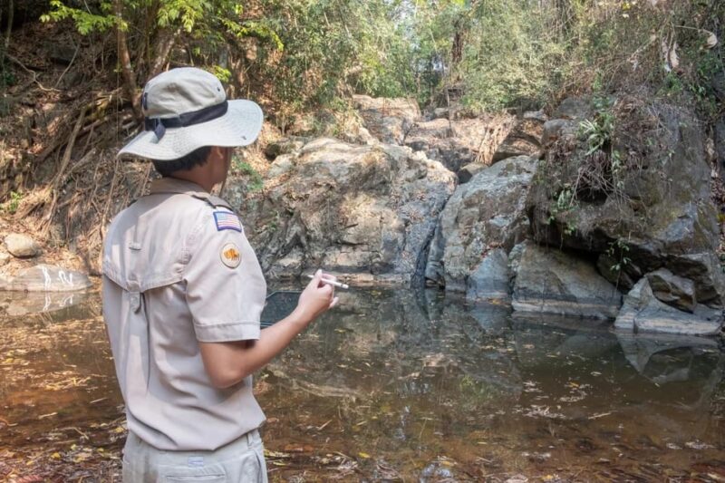 Ranthambore: National Park Safari (Bengal Tiger) Spotting - Wildlife and Attractions
