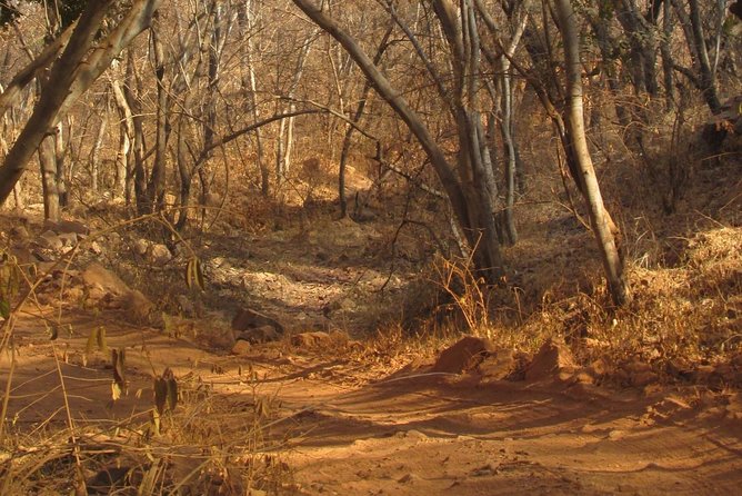 Ranthambore Same Day Experience - Booking Information