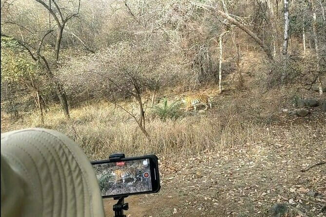 Ranthambore - Sharing Tiger Safari In Canter Or Gypsy Vehicle - Practical Tips for Travelers