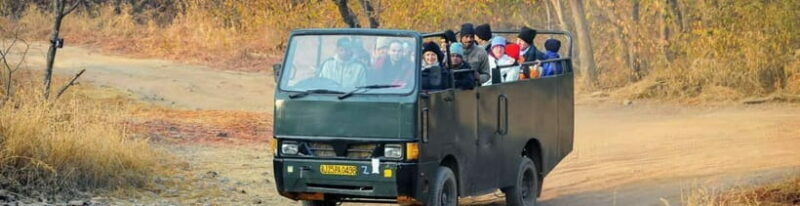 Ranthambore: Skip-the-Line Tiger Safari in Sharing Canter - FAQs