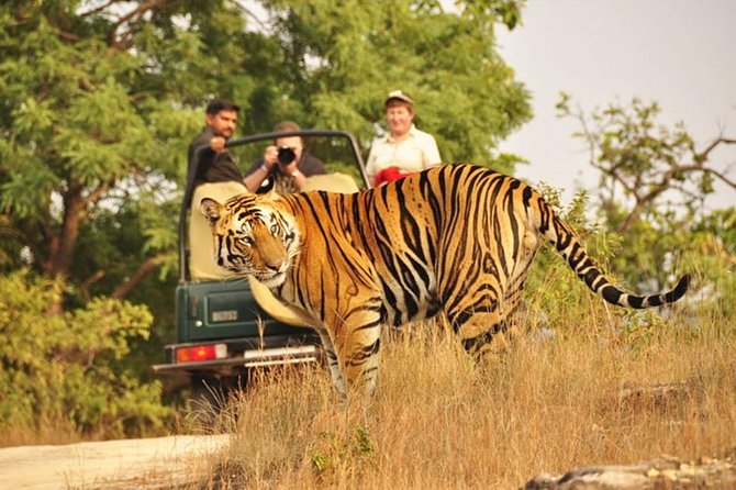 Ranthambore Tiger Reserve Day Trip From Jaipur All Inclusive - Additional Information