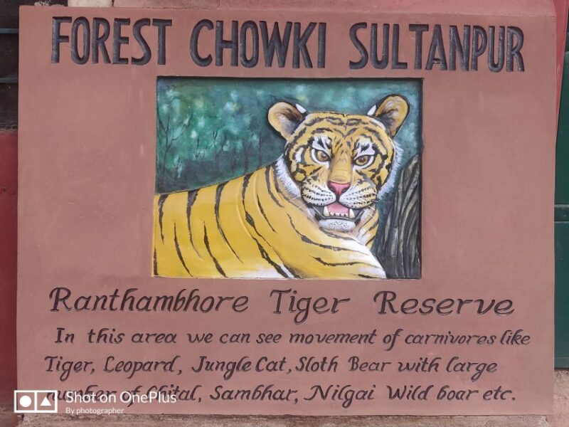 Ranthambore Tiger Safari Day Trip From Jaipur -All Inclusive - Key Points