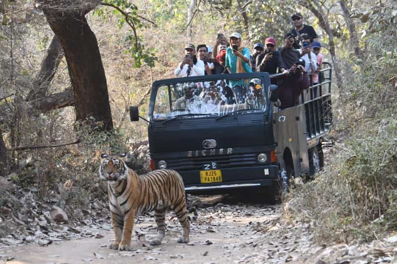 Ranthambore : Tiger Safari Tour in Canter - Safari Highlights