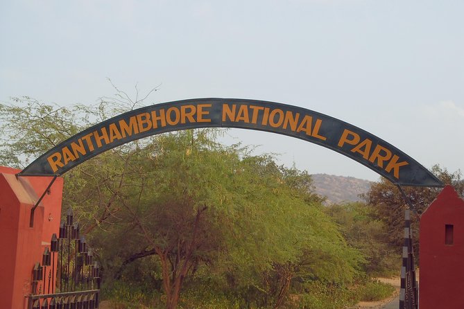 Ranthambore to Jaipur One Way Drop Service - Key Points