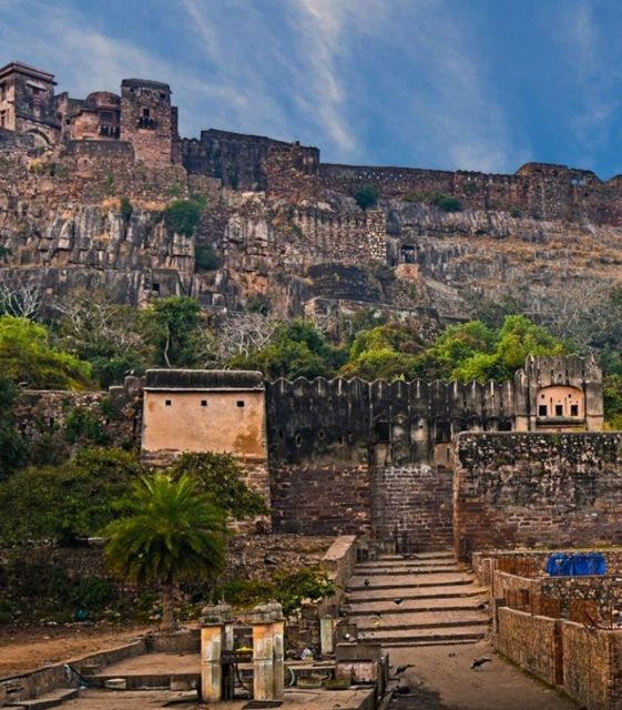 Ranthambore Wildlife (Tiger Safari)Full Day Tour From Jaipur - Ranthambore National Park