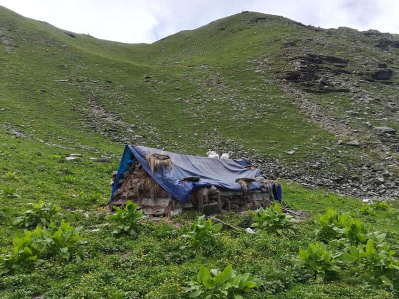 Ranthan Kharak Trek: 7-Day Guided Adventure From Kathgodam - Trek Day-by-Day