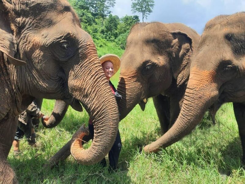 Rantong Elephant Sanctuary, Chiang Mai - Ethical Elephant Tourism