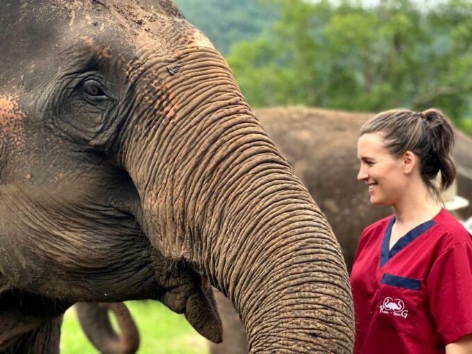 Rantong Elephant Sanctuary, Chiang Mai - Guided Tour Experience