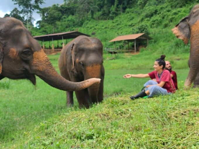 Rantong Elephant Sanctuary, Chiang Mai - Pickup and Transportation