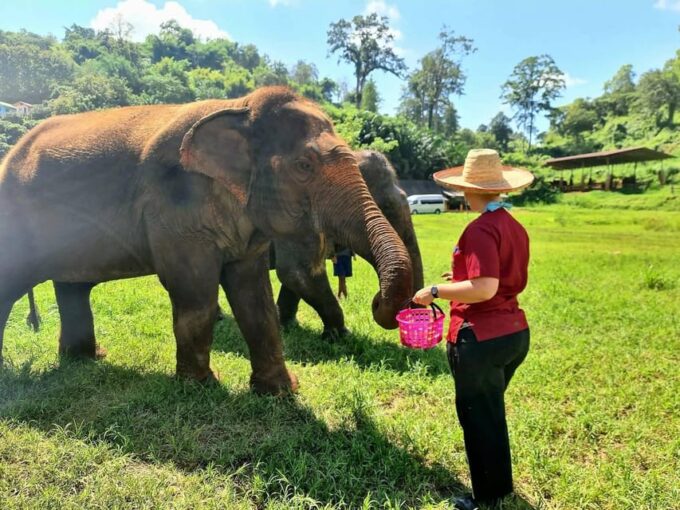 Rantong Elephant Sanctuary, Chiang Mai - Booking and Cancellation Policy
