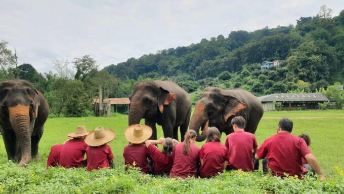 Rantong Elephant Sanctuary, Chiang Mai - Frequently Asked Questions