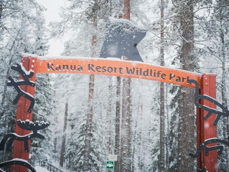 Ranua Wildlife Park Day: Visit the Arctic Animals - Overview of the Day Trip