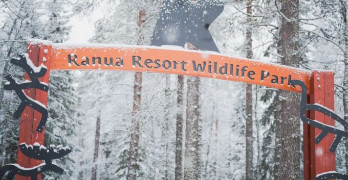 Ranua Wildlife Park Day: Visit the Arctic Animals - Sum Up