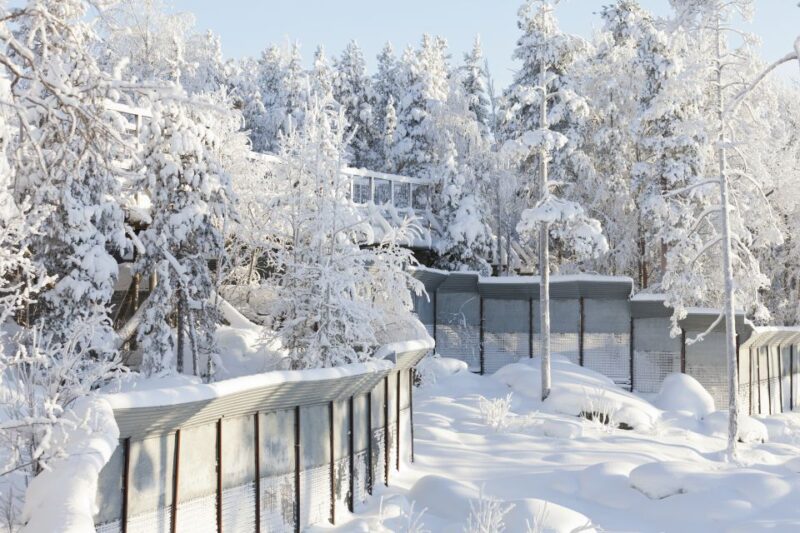 Ranua Wildlife Park Guided Tour From Rovaniemi - Tour Guidelines