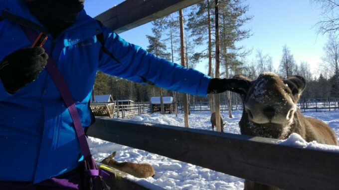 Ranua Wildlife Park Guided Tour From Rovaniemi - Customer Feedback