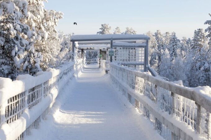 Ranua Wildlife Park Guided Tour From Rovaniemi - Sum Up