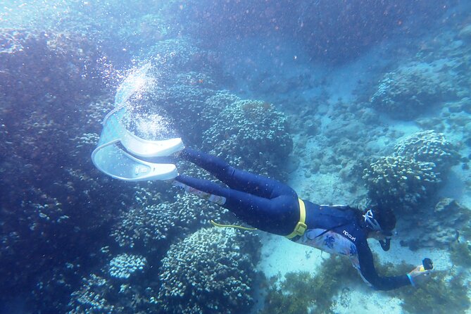 Rapa Nui Coral Reef Snorkeling - Inclusions and Pricing