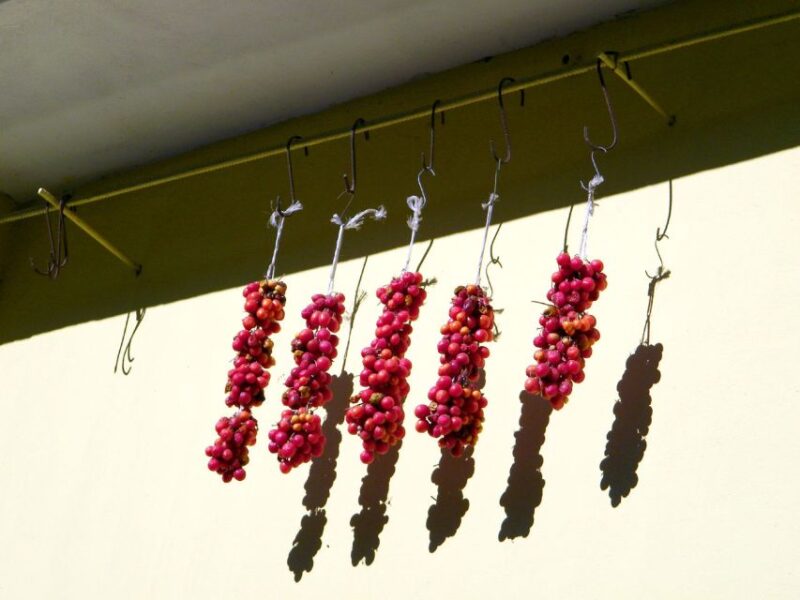 Rapolla Private Tour: Aglianico Wine Tour Near Matera - Booking Information