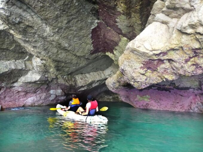 Raposeira: Guided Kayak Tour and Praia Da Ingrina Caves - Observing Marine Life