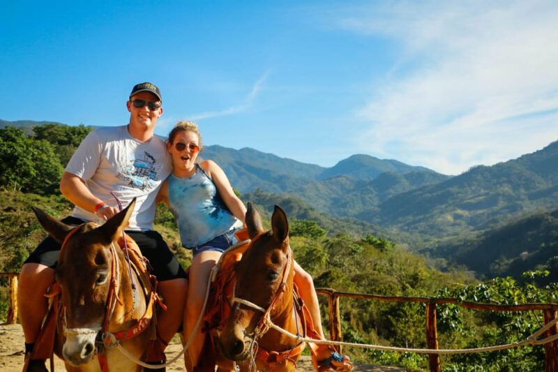 Rappel, Canopy, Hanging Bridges & More -Puerto Vallarta - Inclusions
