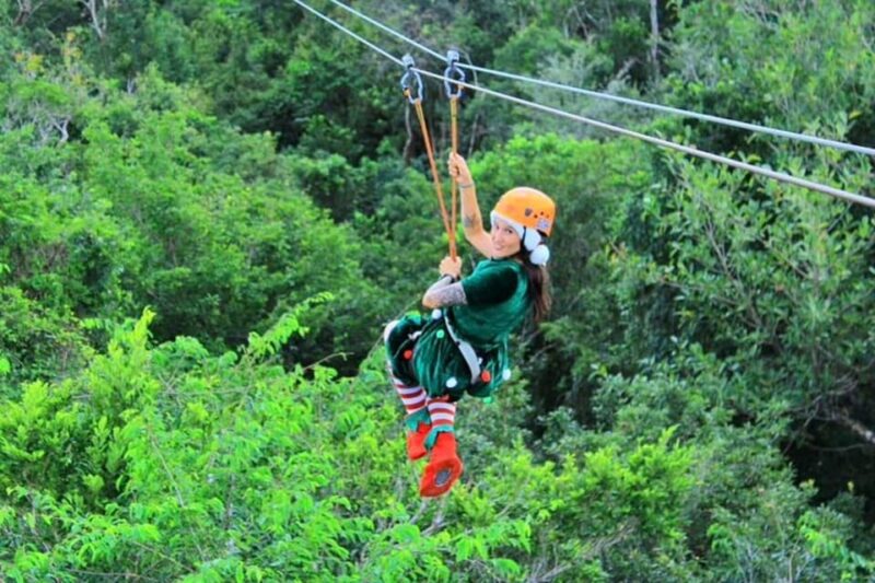 Rappel & Jungle ZipLine & Visit Tulum & Cenote Snorkeling - Activity Details