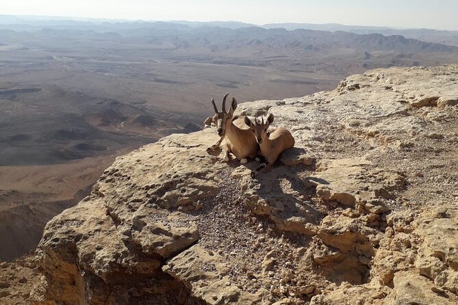 Rappelling Down the Ramon Crater Cliff - Transportation and Accessibility