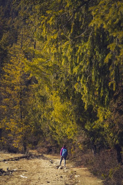 Rara Lake Expedition - 6 Nights 7 Days Tour Package - Frequently Asked Questions
